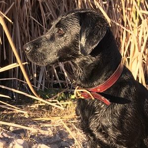 Meet your Posher, Christine